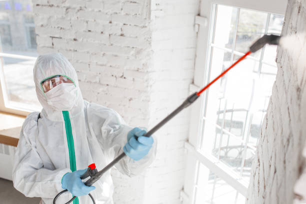 Best Mold Prevention Services  in , KS